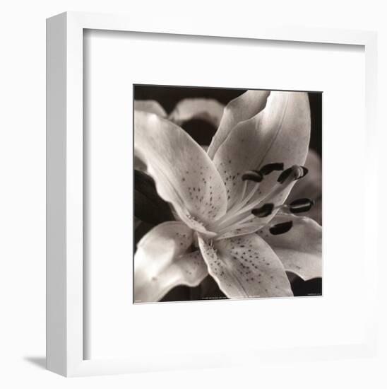 Speckled Lily-null-Framed Art Print