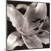 Speckled Lily-null-Mounted Art Print