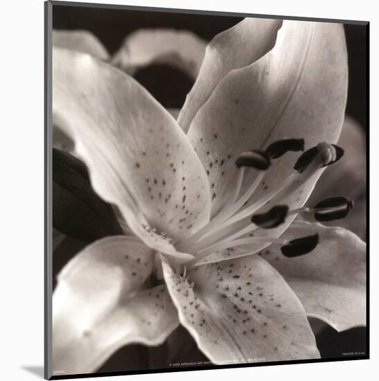 Speckled Lily-null-Mounted Art Print