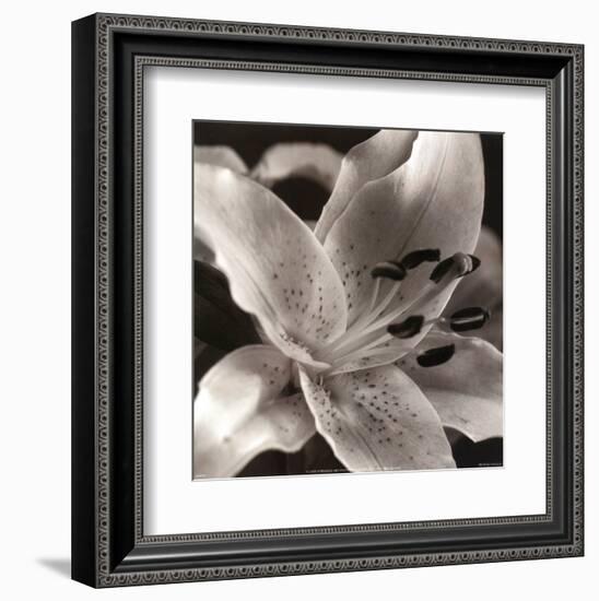 Speckled Lily-null-Framed Art Print