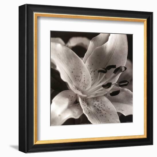 Speckled Lily-null-Framed Art Print