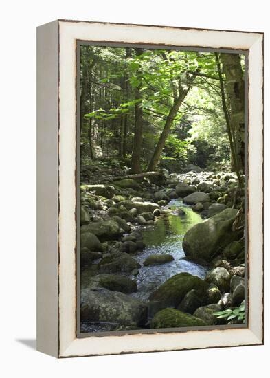 Speckled Mountain Wilderness Area Brook in the White Mountains of Evans Notch, Western Maine-null-Framed Premier Image Canvas