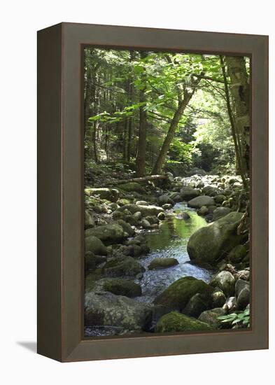 Speckled Mountain Wilderness Area Brook in the White Mountains of Evans Notch, Western Maine-null-Framed Premier Image Canvas