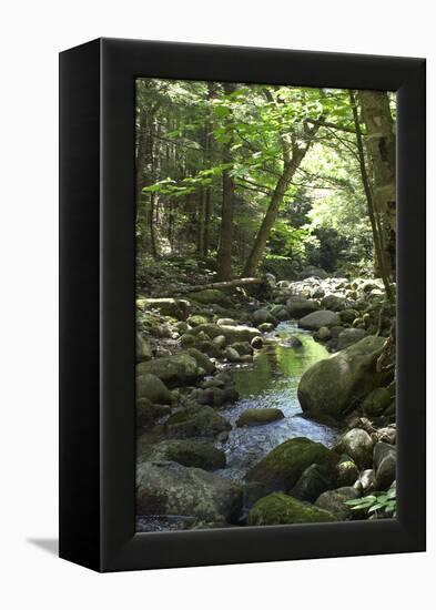 Speckled Mountain Wilderness Area Brook in the White Mountains of Evans Notch, Western Maine-null-Framed Premier Image Canvas