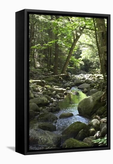 Speckled Mountain Wilderness Area Brook in the White Mountains of Evans Notch, Western Maine-null-Framed Premier Image Canvas