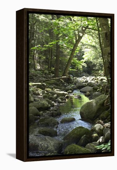 Speckled Mountain Wilderness Area Brook in the White Mountains of Evans Notch, Western Maine-null-Framed Premier Image Canvas