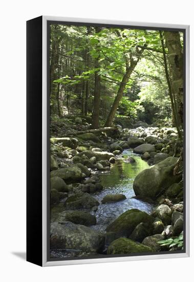 Speckled Mountain Wilderness Area Brook in the White Mountains of Evans Notch, Western Maine-null-Framed Premier Image Canvas