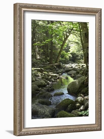 Speckled Mountain Wilderness Area Brook in the White Mountains of Evans Notch, Western Maine-null-Framed Photographic Print