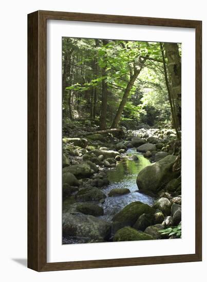 Speckled Mountain Wilderness Area Brook in the White Mountains of Evans Notch, Western Maine-null-Framed Photographic Print