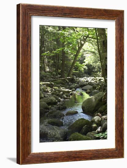 Speckled Mountain Wilderness Area Brook in the White Mountains of Evans Notch, Western Maine-null-Framed Photographic Print