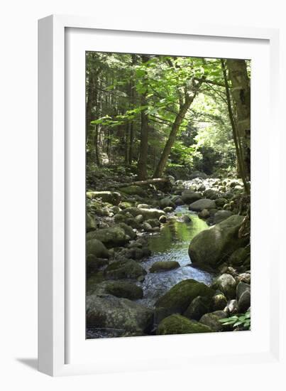 Speckled Mountain Wilderness Area Brook in the White Mountains of Evans Notch, Western Maine-null-Framed Photographic Print