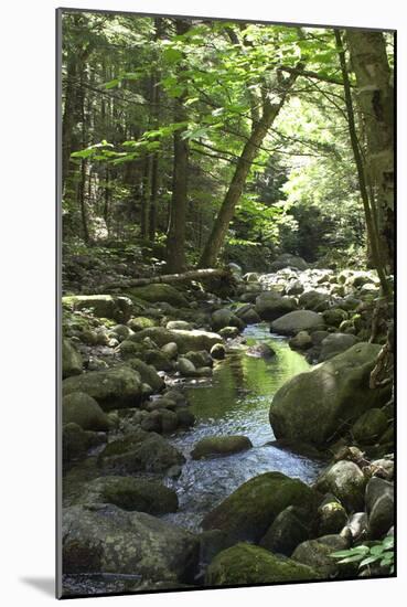 Speckled Mountain Wilderness Area Brook in the White Mountains of Evans Notch, Western Maine-null-Mounted Photographic Print