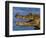 Spectacled Caiman, Llanos, Hato El Frio, Venezuela-Francois Savigny-Framed Premium Photographic Print