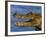 Spectacled Caiman, Llanos, Hato El Frio, Venezuela-Francois Savigny-Framed Photographic Print