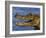 Spectacled Caiman, Llanos, Hato El Frio, Venezuela-Francois Savigny-Framed Photographic Print