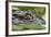 Spectacled Caiman-null-Framed Photographic Print