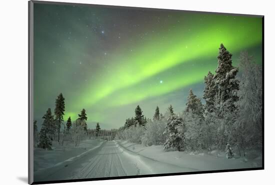 Spectacular Aurora Borealis (Northern Lights) over a Track through Winter Landscape in Finnish Lapl-Sara Winter-Mounted Photographic Print