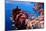 Spectacular Cinque Terre View to Vernazza, Ligure-Markus Bleichner-Mounted Art Print