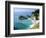 Spectacular Coastline with Waterfall, Julia Pfeiffer Burns State Park, Big Sur, USA-Ruth Tomlinson-Framed Photographic Print