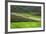 Spectacular Green Rice Field in Rainy Season, Ambalavao, Madagascar-Anthony Asael-Framed Photographic Print