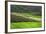 Spectacular Green Rice Field in Rainy Season, Ambalavao, Madagascar-Anthony Asael-Framed Photographic Print