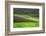 Spectacular Green Rice Field in Rainy Season, Ambalavao, Madagascar-Anthony Asael-Framed Photographic Print