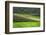 Spectacular Green Rice Field in Rainy Season, Ambalavao, Madagascar-Anthony Asael-Framed Photographic Print