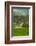 Spectacular Green Rice Field in Rainy Season, Ambalavao, Madagascar-Anthony Asael-Framed Photographic Print