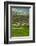 Spectacular Green Rice Field in Rainy Season, Ambalavao, Madagascar-Anthony Asael-Framed Photographic Print