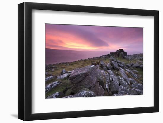 Spectacular Pink Sunrise Above Belstone Tor, Dartmoor, Devon, England. Winter-Adam Burton-Framed Photographic Print