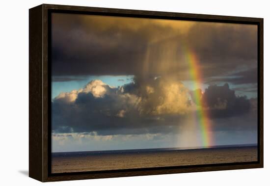 Spectacular rainbow off of Kalapana, Big Island, Hawaii-Mark A Johnson-Framed Premier Image Canvas