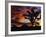 Spectacular Sunrise at Joshua Tree National Park, California, USA-Chuck Haney-Framed Photographic Print