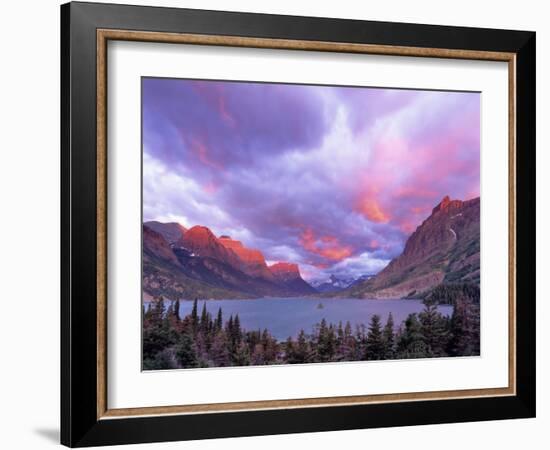 Spectacular Sunrise over Wild Goose Island in Glacier National Park, Montana, USA-Chuck Haney-Framed Photographic Print