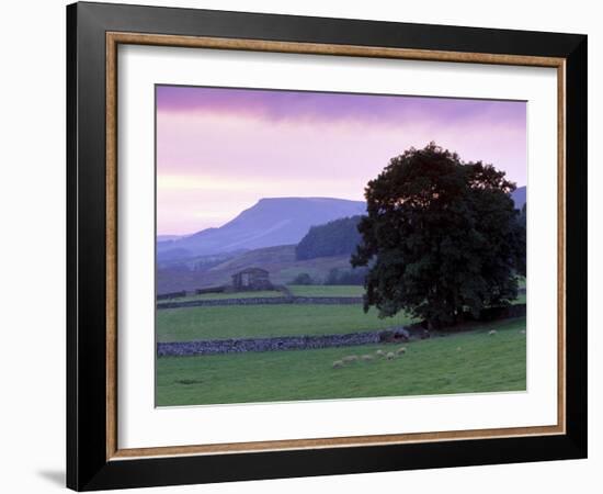 Spectacular Sunset Near Hardraw in Wensleydale, Yorkshire Dales National Park, Yorkshire, England-Patrick Dieudonne-Framed Photographic Print