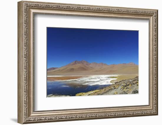 Spectacular view of Laguna Colorada, Reserva Eduardo Avaroa, Bolivian desert, Bolivia-Anthony Asael-Framed Photographic Print