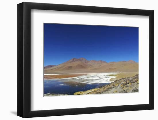 Spectacular view of Laguna Colorada, Reserva Eduardo Avaroa, Bolivian desert, Bolivia-Anthony Asael-Framed Photographic Print