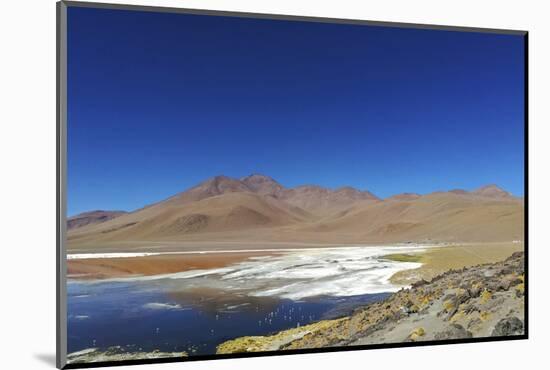 Spectacular view of Laguna Colorada, Reserva Eduardo Avaroa, Bolivian desert, Bolivia-Anthony Asael-Mounted Photographic Print