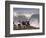 Spectators Line the Bluff at La Jolla Cove to Get a Good Look at the Large Surf in San Diego-null-Framed Photographic Print