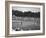 Spectators Watching as Gary Player Wins the Master's Golf Tournament-null-Framed Photographic Print