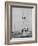 Spectators Watching the America's Cup on a Sailing Boat-Peter Stackpole-Framed Photographic Print