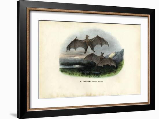 Spectral Bat, 1863-79-Raimundo Petraroja-Framed Giclee Print