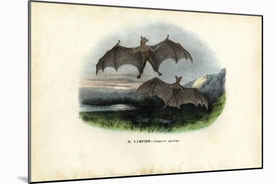 Spectral Bat, 1863-79-Raimundo Petraroja-Mounted Giclee Print