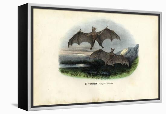 Spectral Bat, 1863-79-Raimundo Petraroja-Framed Premier Image Canvas