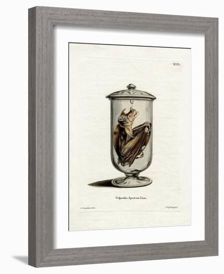 Spectral Bat-null-Framed Giclee Print