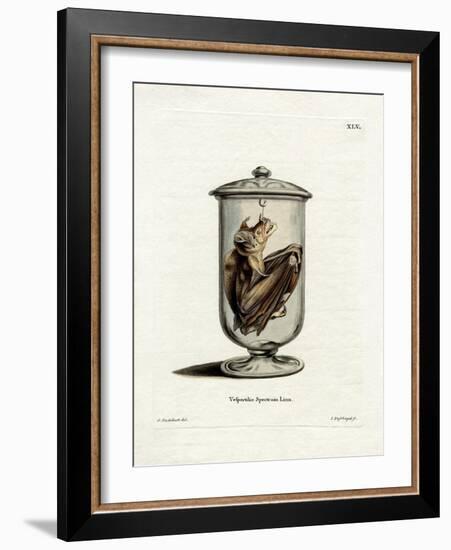 Spectral Bat-null-Framed Giclee Print