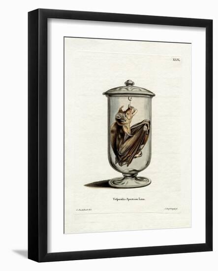 Spectral Bat-null-Framed Giclee Print