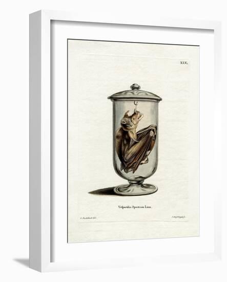 Spectral Bat-null-Framed Giclee Print