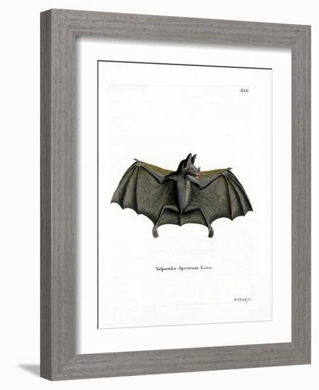 Spectral Bat-null-Framed Giclee Print