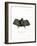 Spectral Bat-null-Framed Giclee Print