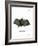 Spectral Bat-null-Framed Giclee Print